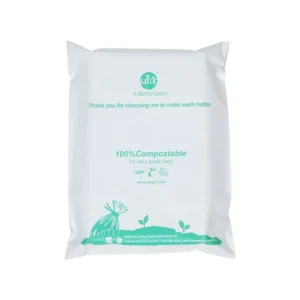 White mailer with green artwork
